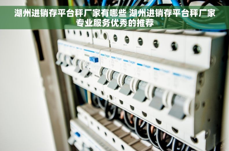 湖州进销存平台秤厂家有哪些 湖州进销存平台秤厂家专业服务优秀的推荐