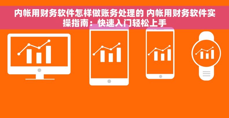 内帐用财务软件怎样做账务处理的 内帐用财务软件实操指南：快速入门轻松上手