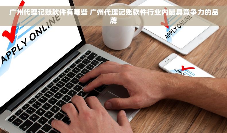 广州代理记账软件有哪些 广州代理记账软件行业内最具竞争力的品牌