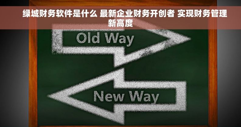     绿城财务软件是什么 最新企业财务开创者 实现财务管理新高度