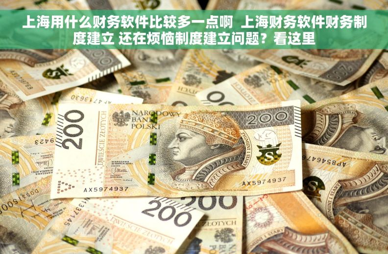 上海用什么财务软件比较多一点啊  上海财务软件财务制度建立 还在烦恼制度建立问题？看这里