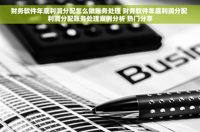 财务软件年底利润分配怎么做账务处理 财务软件年底利润分配 利润分配账务处理案例分析 热门分享