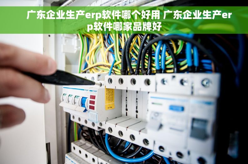     广东企业生产erp软件哪个好用 广东企业生产erp软件哪家品牌好