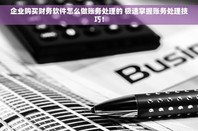 企业购买财务软件怎么做账务处理的 极速掌握账务处理技巧！