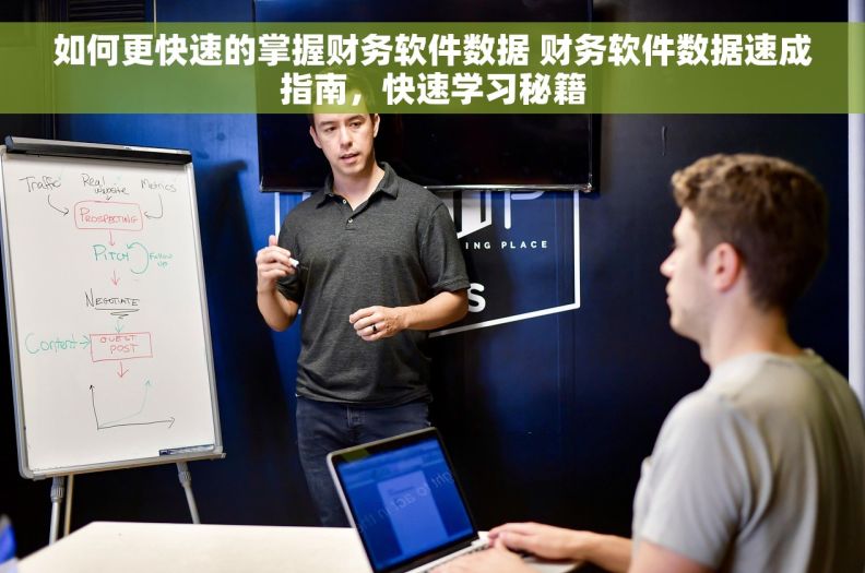 如何更快速的掌握财务软件数据 财务软件数据速成指南，快速学习秘籍