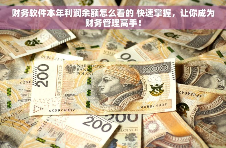 财务软件本年利润余额怎么看的 快速掌握，让你成为财务管理高手！