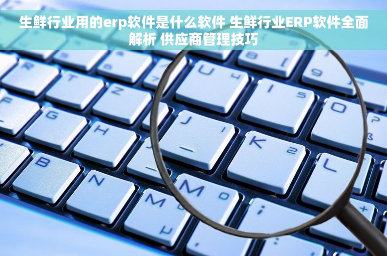 生鲜行业用的erp软件是什么软件 生鲜行业ERP软件全面解析 供应商管理技巧