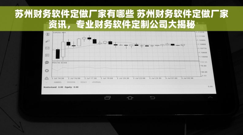 苏州财务软件定做厂家有哪些 苏州财务软件定做厂家资讯，专业财务软件定制公司大揭秘