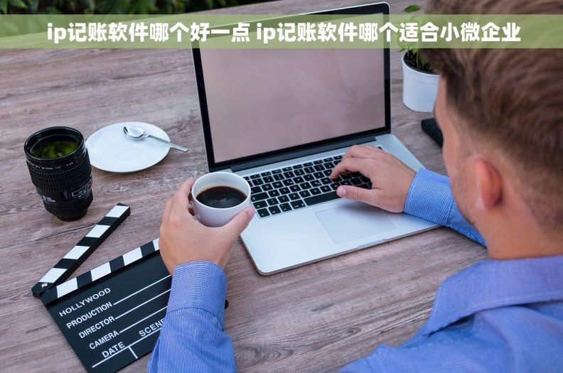  ip记账软件哪个好一点 ip记账软件哪个适合小微企业
