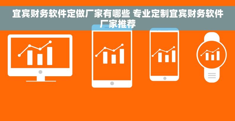 宜宾财务软件定做厂家有哪些 专业定制宜宾财务软件厂家推荐