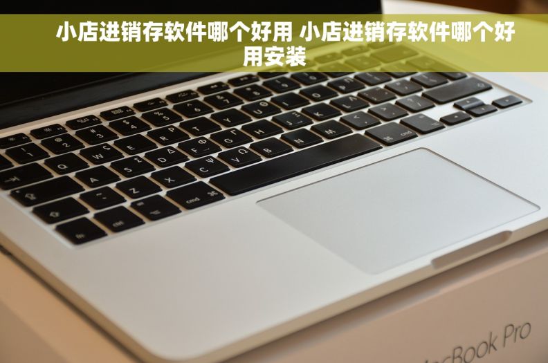     小店进销存软件哪个好用 小店进销存软件哪个好用安装