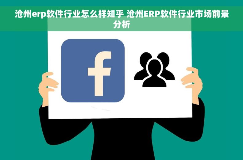 沧州erp软件行业怎么样知乎 沧州ERP软件行业市场前景分析