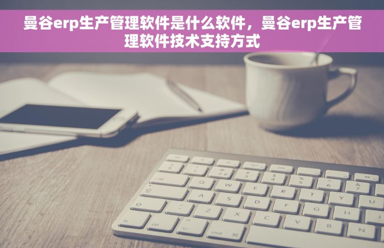 曼谷erp生产管理软件是什么软件，曼谷erp生产管理软件技术支持方式