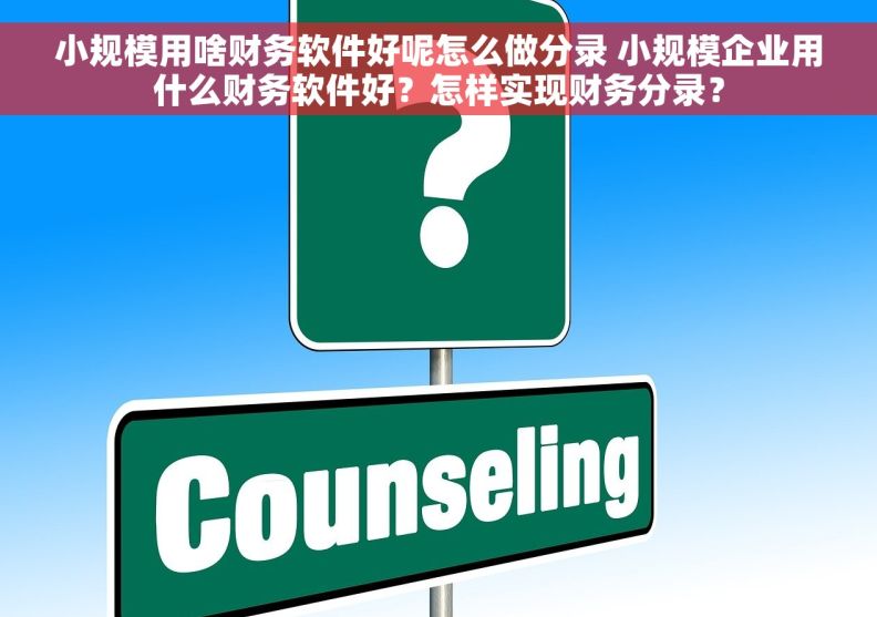 小规模用啥财务软件好呢怎么做分录 小规模企业用什么财务软件好？怎样实现财务分录？