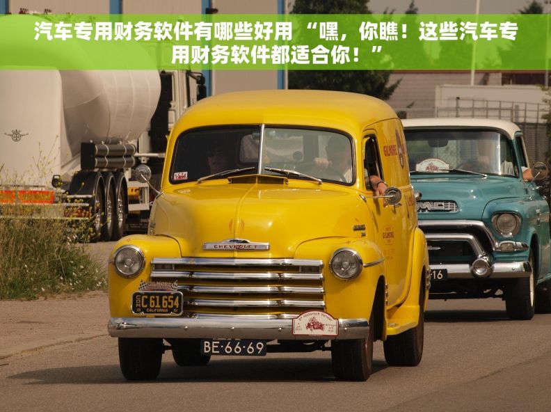 汽车专用财务软件有哪些好用 “嘿，你瞧！这些汽车专用财务软件都适合你！”