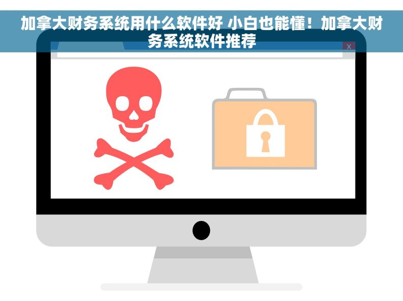 加拿大财务系统用什么软件好 小白也能懂！加拿大财务系统软件推荐