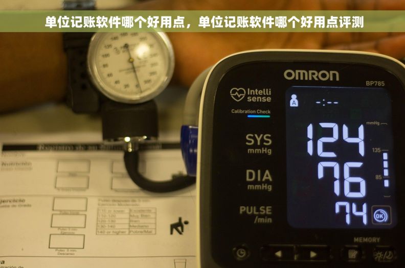  单位记账软件哪个好用点，单位记账软件哪个好用点评测