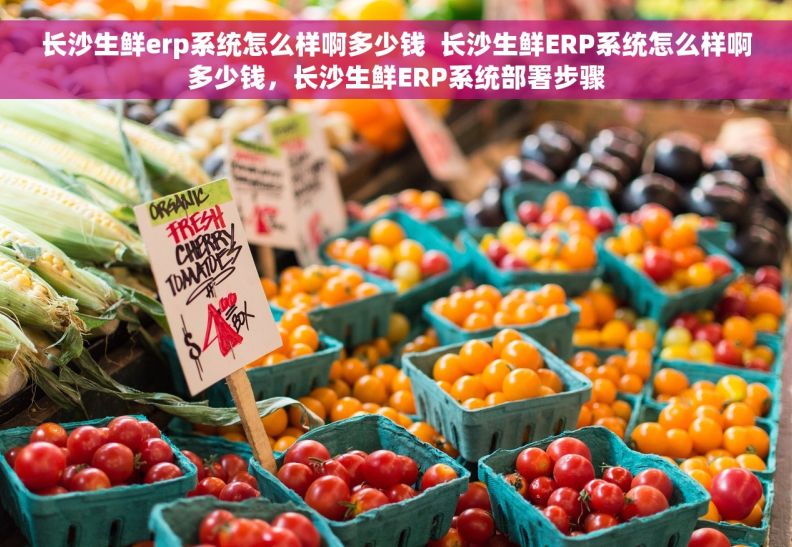 长沙生鲜erp系统怎么样啊多少钱  长沙生鲜ERP系统怎么样啊多少钱，长沙生鲜ERP系统部署步骤