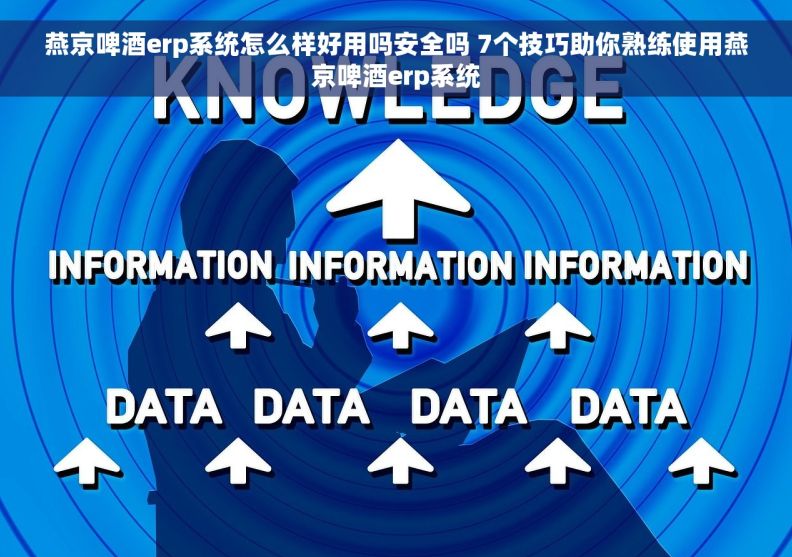 燕京啤酒erp系统怎么样好用吗安全吗 7个技巧助你熟练使用燕京啤酒erp系统