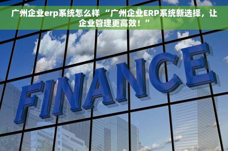 广州企业erp系统怎么样 “广州企业ERP系统新选择，让企业管理更高效！”