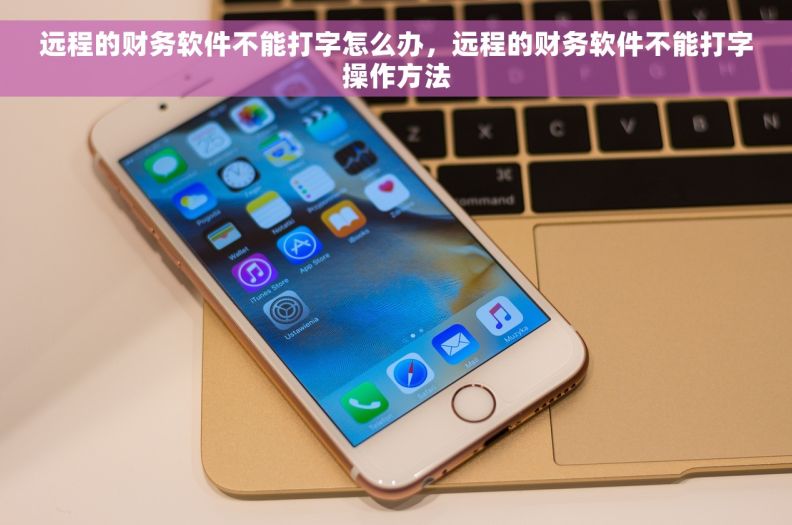 远程的财务软件不能打字怎么办，远程的财务软件不能打字操作方法