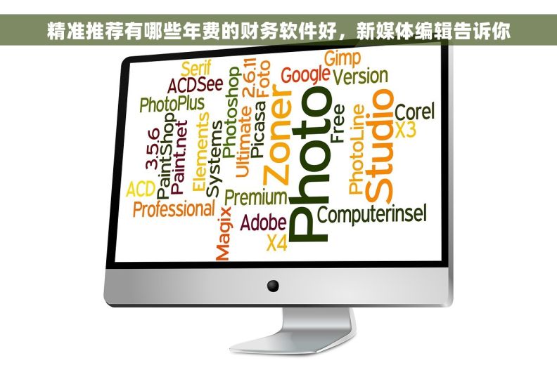 精准推荐有哪些年费的财务软件好，新媒体编辑告诉你