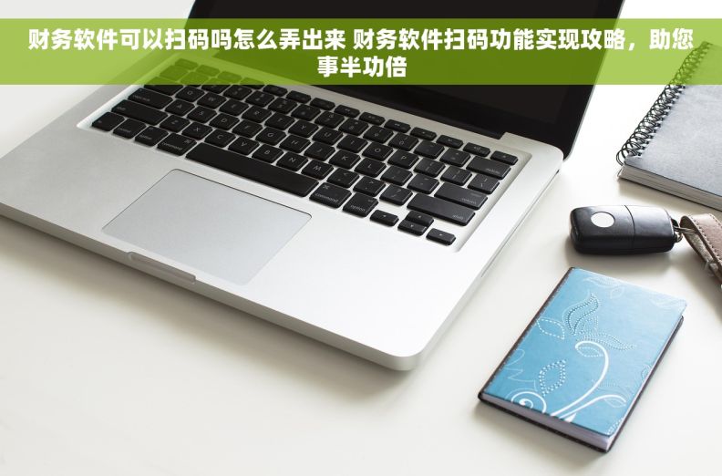 财务软件可以扫码吗怎么弄出来 财务软件扫码功能实现攻略，助您事半功倍