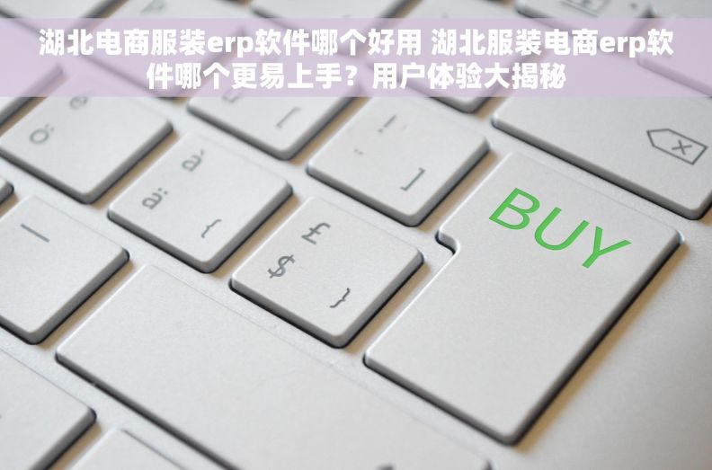 湖北电商服装erp软件哪个好用 湖北服装电商erp软件哪个更易上手？用户体验大揭秘
