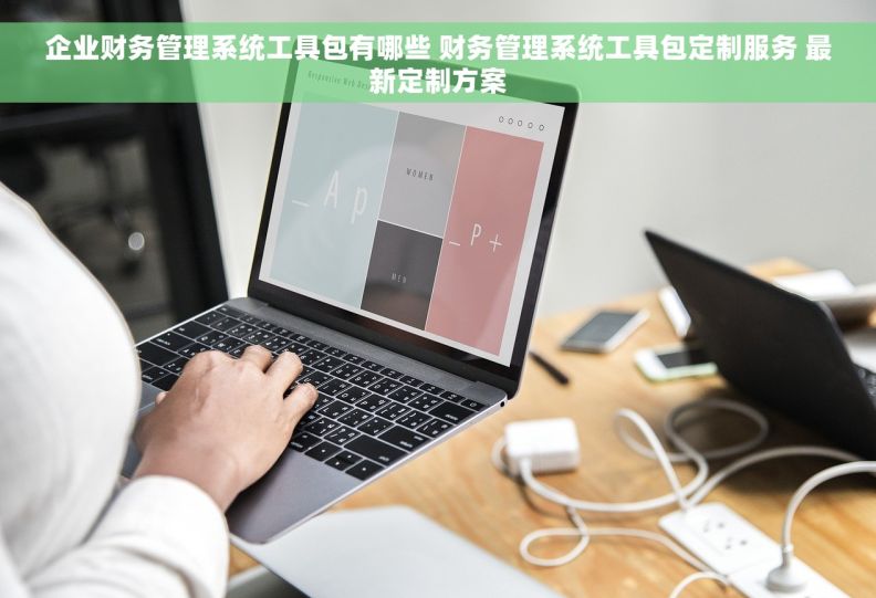 企业财务管理系统工具包有哪些 财务管理系统工具包定制服务 最新定制方案