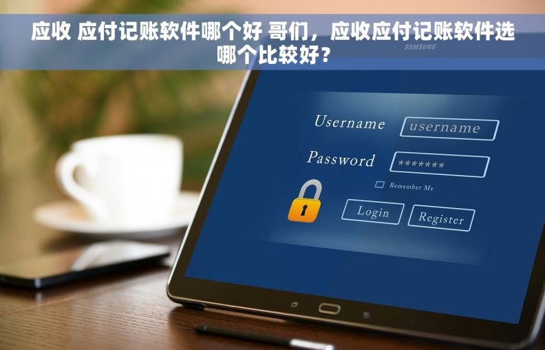 应收 应付记账软件哪个好 哥们，应收应付记账软件选哪个比较好？