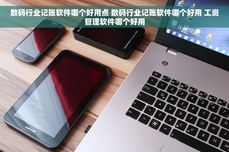 数码行业记账软件哪个好用点 数码行业记账软件哪个好用 工资管理软件哪个好用