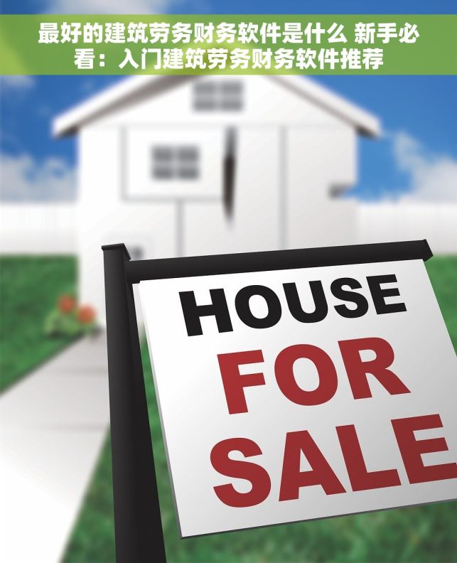 最好的建筑劳务财务软件是什么 新手必看：入门建筑劳务财务软件推荐