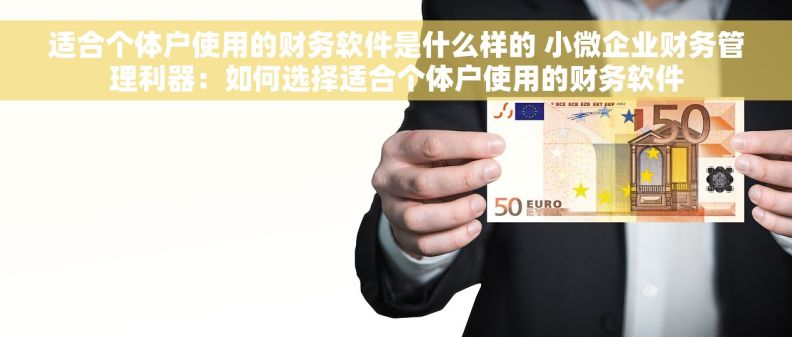 适合个体户使用的财务软件是什么样的 小微企业财务管理利器：如何选择适合个体户使用的财务软件