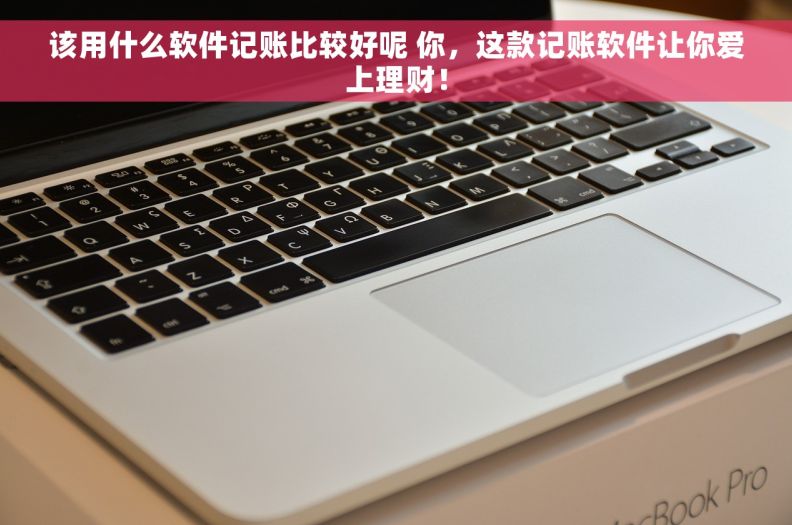 该用什么软件记账比较好呢 你，这款记账软件让你爱上理财！