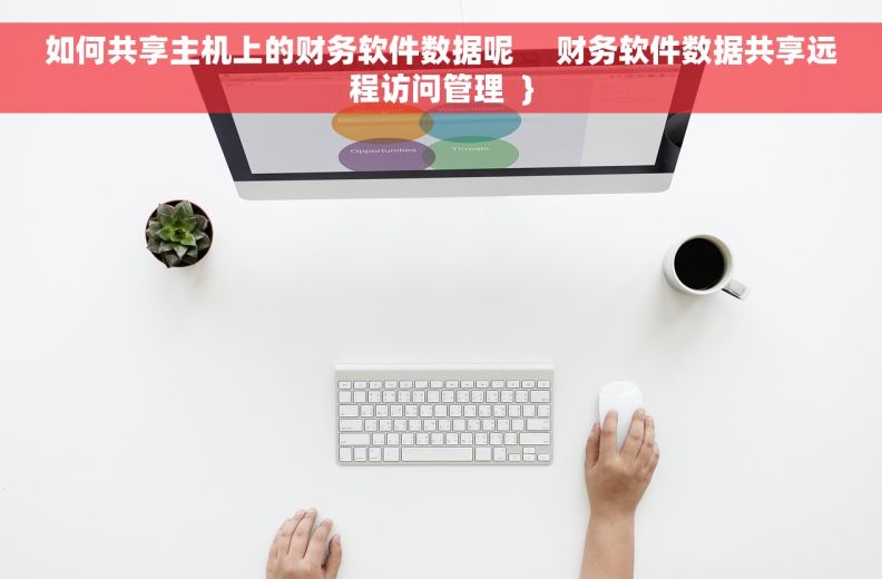 如何共享主机上的财务软件数据呢     财务软件数据共享远程访问管理  }