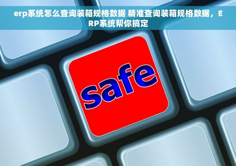 erp系统怎么查询装箱规格数据 精准查询装箱规格数据，ERP系统帮你搞定