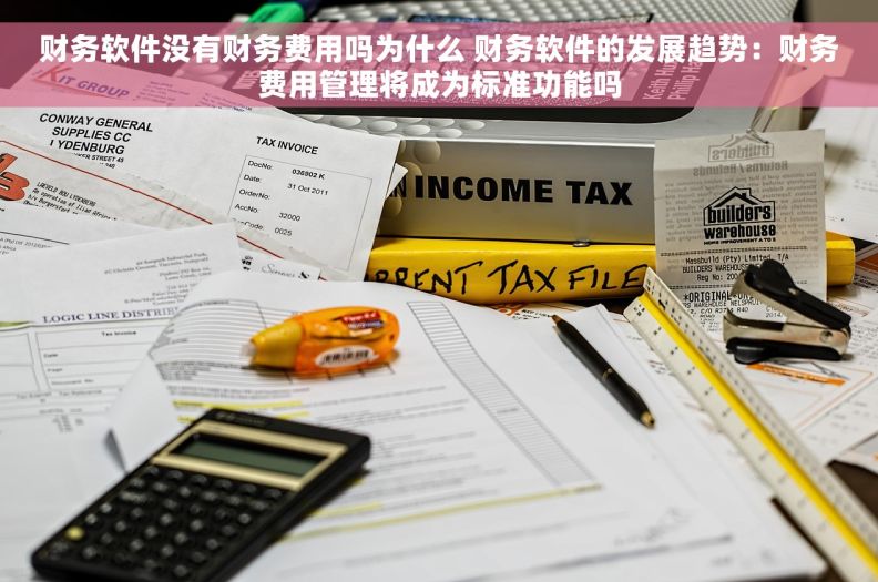财务软件没有财务费用吗为什么 财务软件的发展趋势：财务费用管理将成为标准功能吗