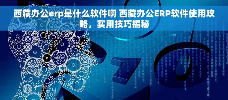 西藏办公erp是什么软件啊 西藏办公ERP软件使用攻略，实用技巧揭秘