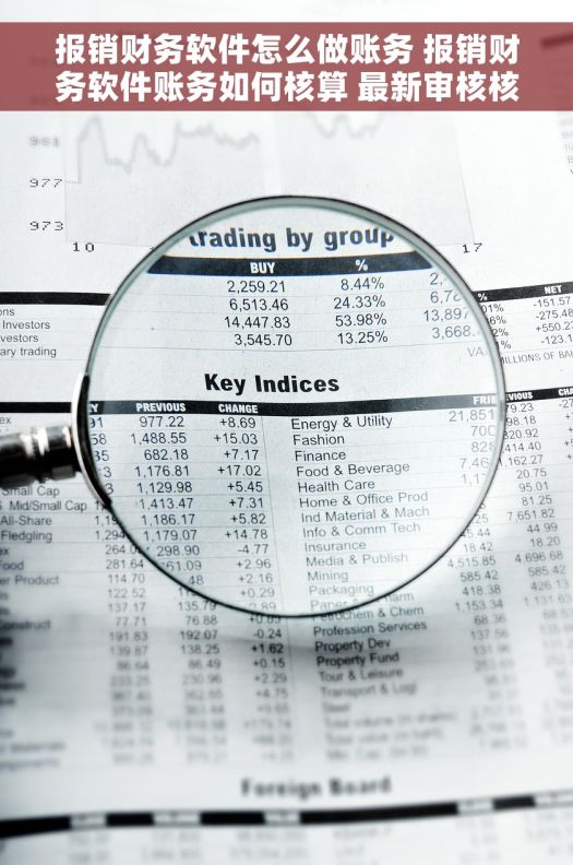 报销财务软件怎么做账务 报销财务软件账务如何核算 最新审核核算技巧分享