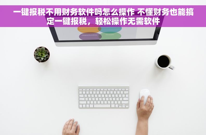 一键报税不用财务软件吗怎么操作 不懂财务也能搞定一键报税，轻松操作无需软件