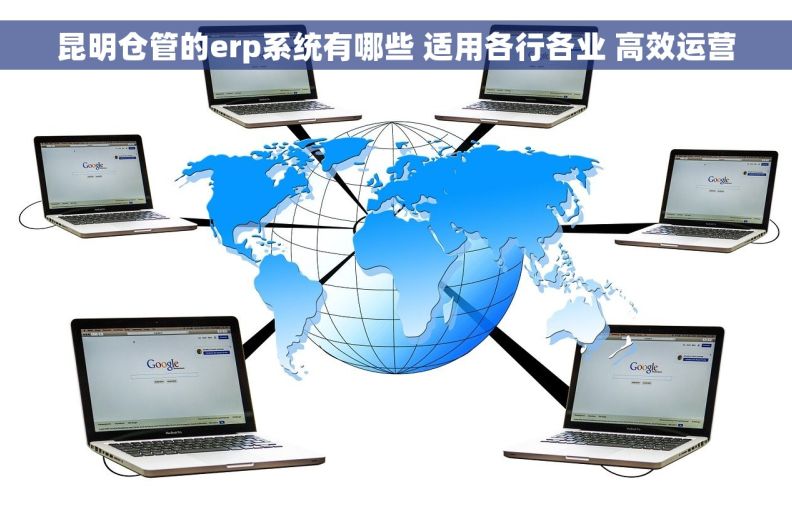 昆明仓管的erp系统有哪些 适用各行各业 高效运营