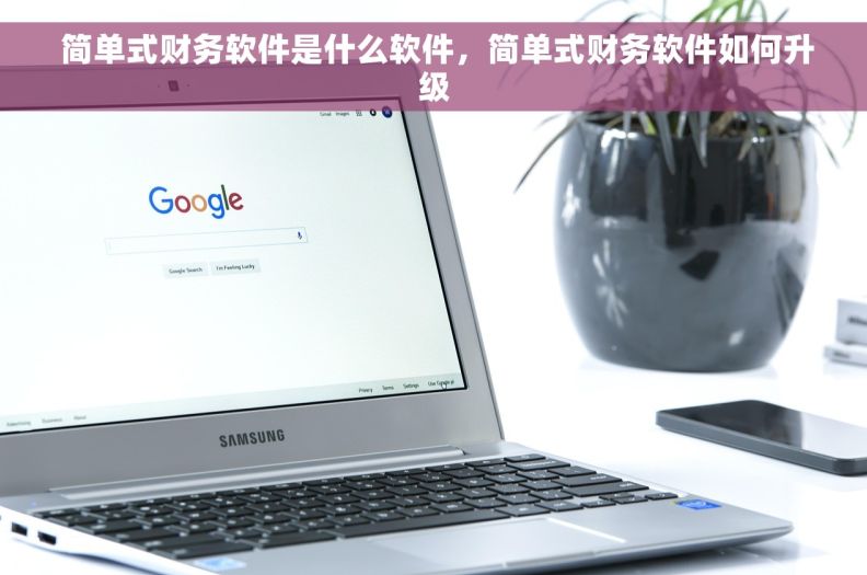  简单式财务软件是什么软件，简单式财务软件如何升级