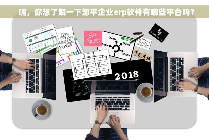   嘿，你想了解一下邹平企业erp软件有哪些平台吗？