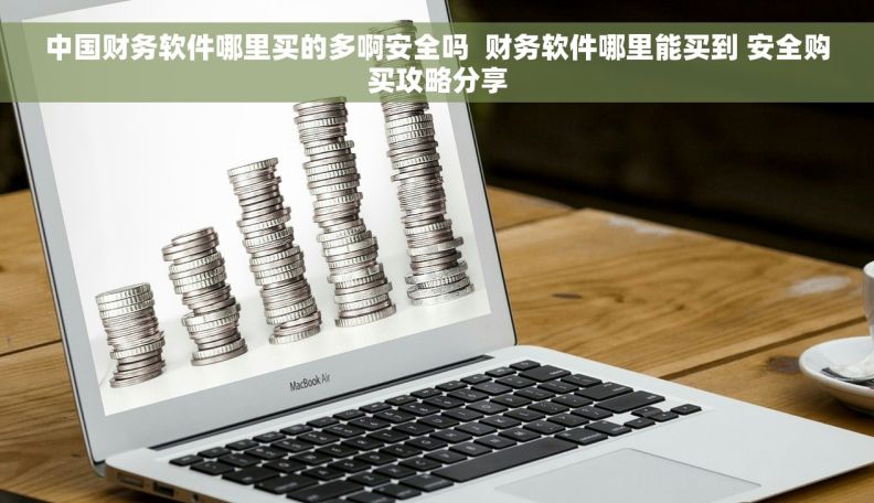 中国财务软件哪里买的多啊安全吗  财务软件哪里能买到 安全购买攻略分享