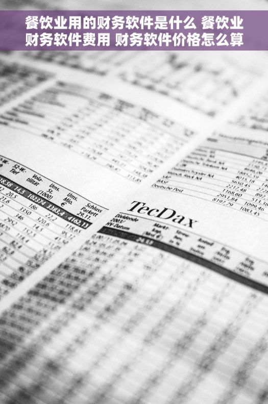 餐饮业用的财务软件是什么 餐饮业财务软件费用 财务软件价格怎么算 提高收入掌握成本