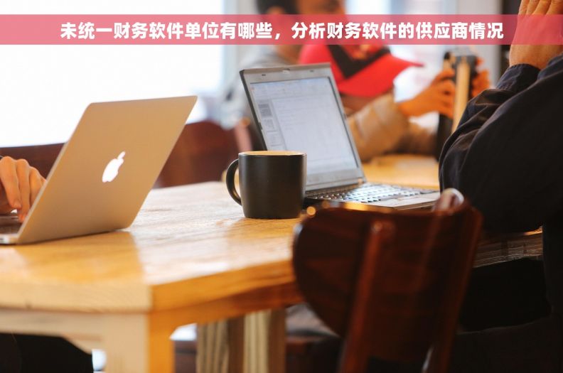 未统一财务软件单位有哪些，分析财务软件的供应商情况