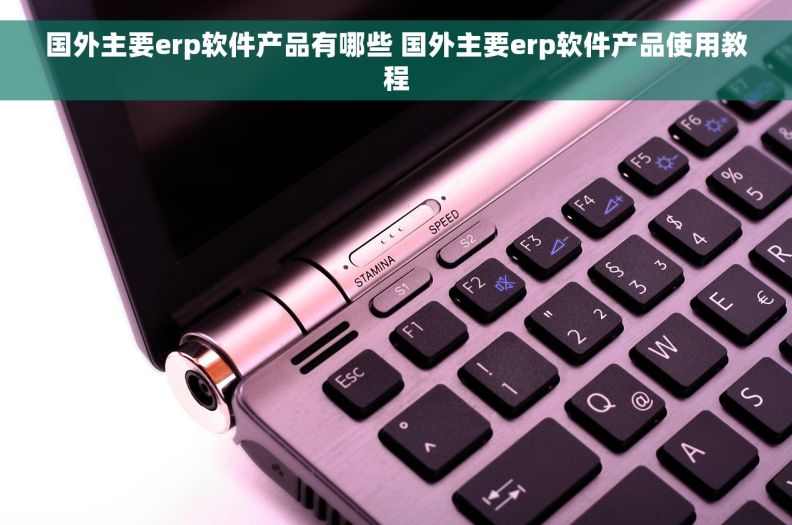 国外主要erp软件产品有哪些 国外主要erp软件产品使用教程
