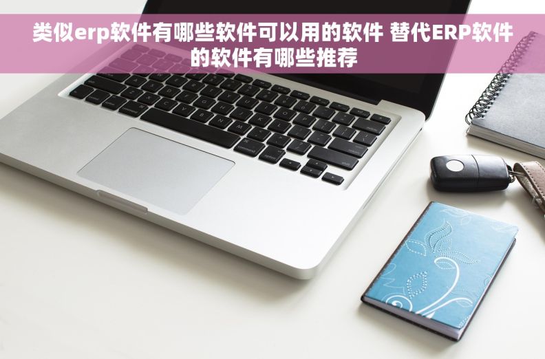 类似erp软件有哪些软件可以用的软件 替代ERP软件的软件有哪些推荐