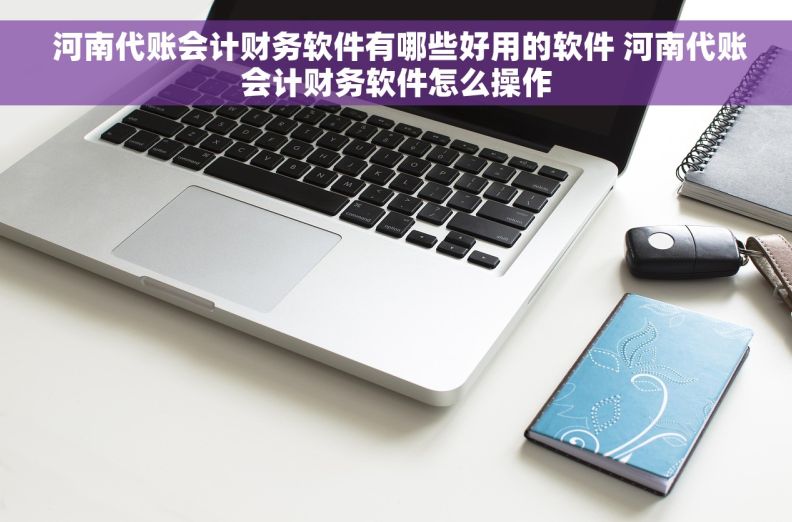  河南代账会计财务软件有哪些好用的软件 河南代账会计财务软件怎么操作