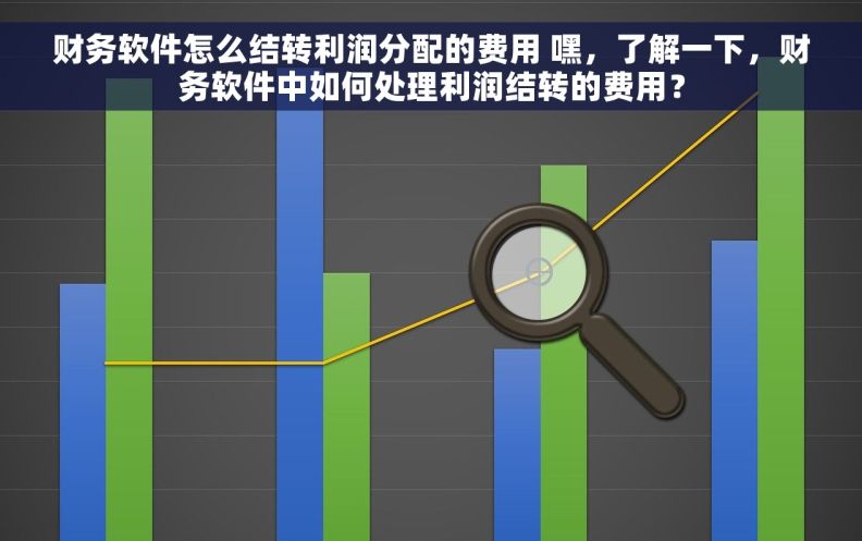 财务软件怎么结转利润分配的费用 嘿，了解一下，财务软件中如何处理利润结转的费用？